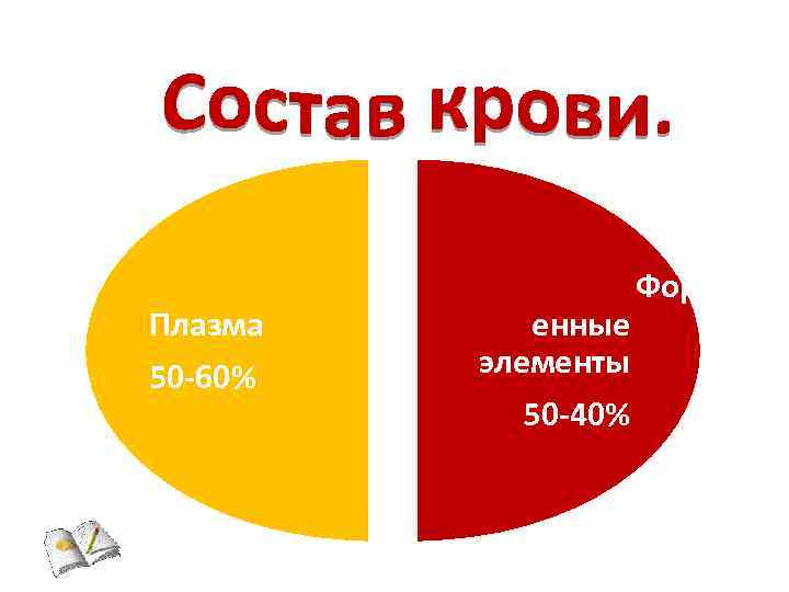 Плазма 50 -60% Форм енные элементы 50 -40% 