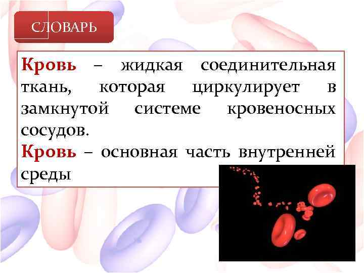 СЛОВАРЬ Кровь – жидкая соединительная ткань, которая циркулирует в замкнутой системе кровеносных сосудов. Кровь