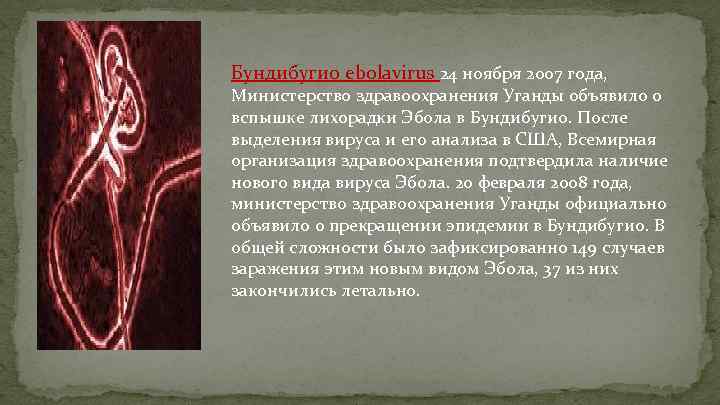 Бундибугио ebolavirus 24 ноября 2007 года, Министерство здравоохранения Уганды объявило о вспышке лихорадки Эбола