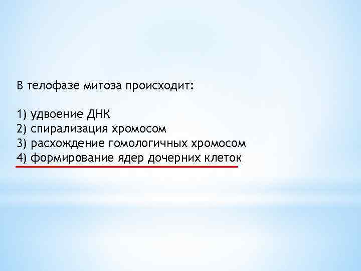 В телофазе митоза происходит удвоение