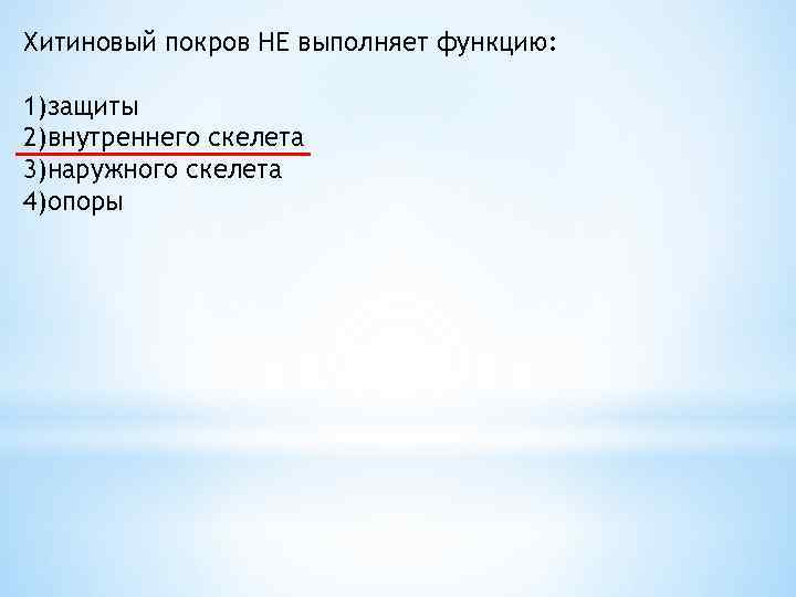 Представители какого типа царства животных изображен на рисунке