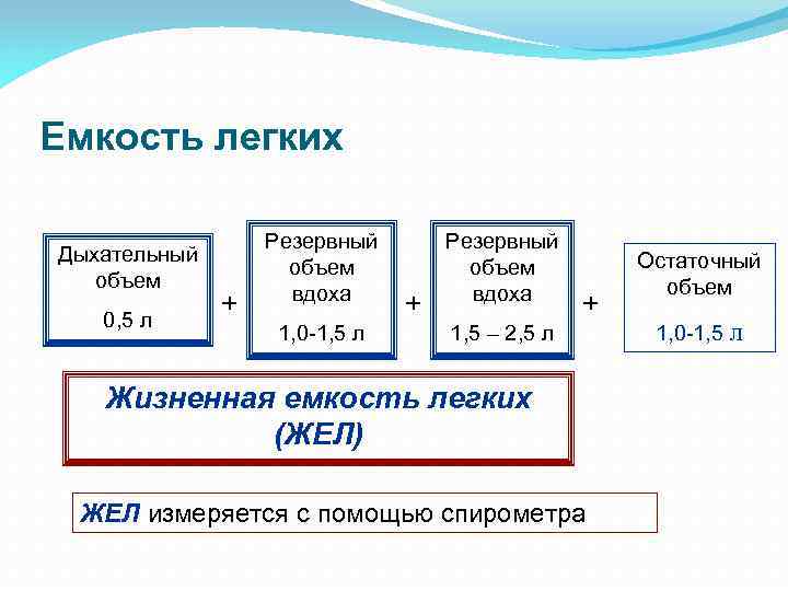 Емкость легких Дыхательный объем 0, 5 л + Резервный объем вдоха 1, 0 -1,