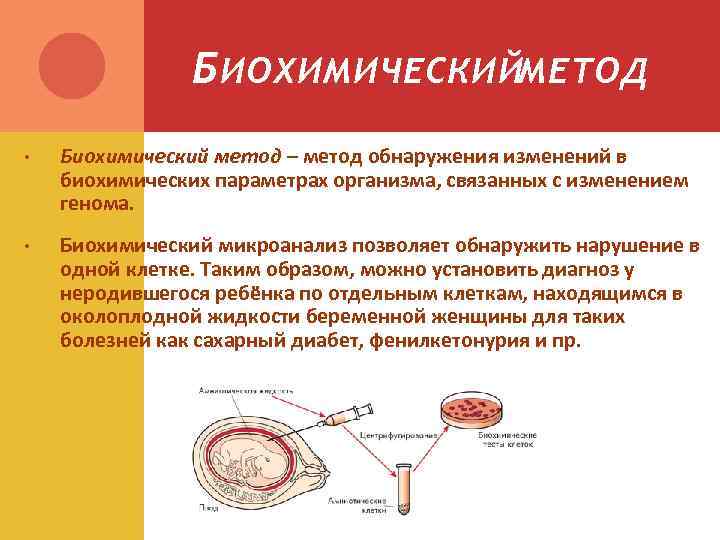 Б ИОХИМИЧЕСКИЙМЕТОД • Биохимический метод – метод обнаружения изменений в биохимических параметрах организма, связанных