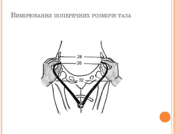 ВИМІРЮВАННЯ ПОПЕРЕЧНИХ РОЗМІРІВ ТАЗА 