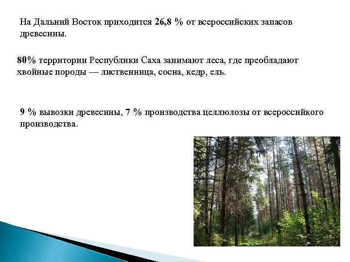 На Дальний Восток приходится 26, 8 % от всероссийских запасов древесины. 80% территории Республики