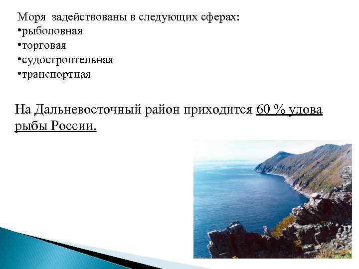 Моря задействованы в следующих сферах: • рыболовная • торговая • судостроительная • транспортная На