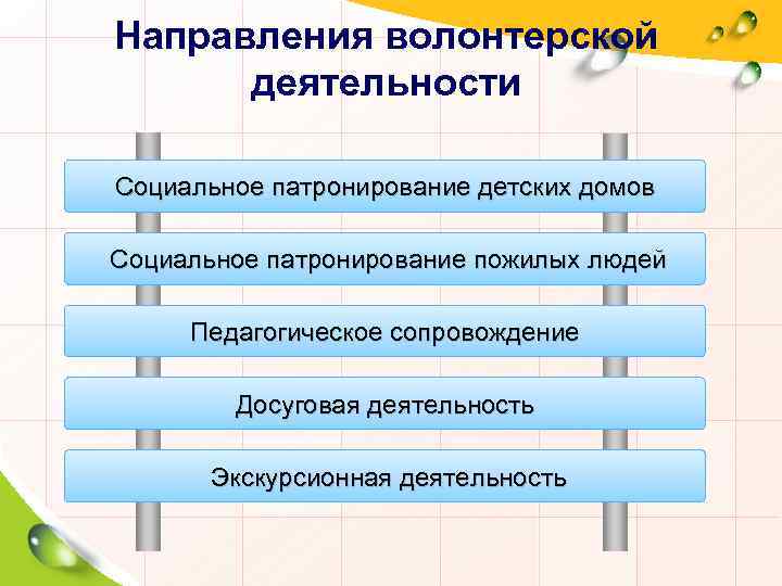 Направления волонтерской деятельности