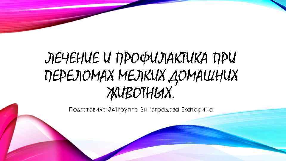 ЛЕЧЕНИЕ И ПРОФИЛАКТИКА ПРИ ПЕРЕЛОМАХ МЕЛКИХ ДОМАШНИХ ЖИВОТНЫХ. Подготовила 341 группа Виноградова Екатерина 