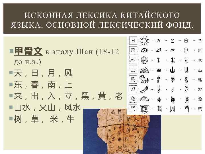 ИСКОННАЯ ЛЕКСИКА КИТАЙСКОГО ЯЗЫКА. ОСНОВНОЙ ЛЕКСИЧЕСКИЙ ФОНД. 甲骨文 в эпоху Шан (18 -12 до