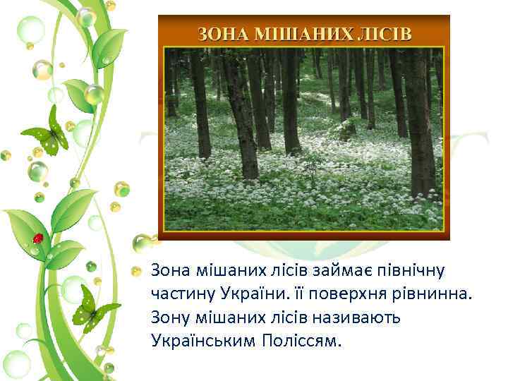 Зона мішаних лісів займає північну частину України. її поверхня рівнинна. Зону мішаних лісів називають