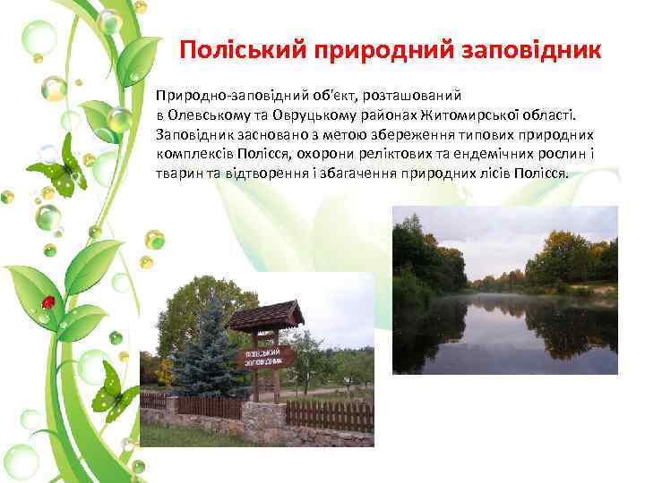 Поліський природний заповідник Природно-заповідний об'єкт, розташований в Олевському та Овруцькому районах Житомирської області. Заповідник