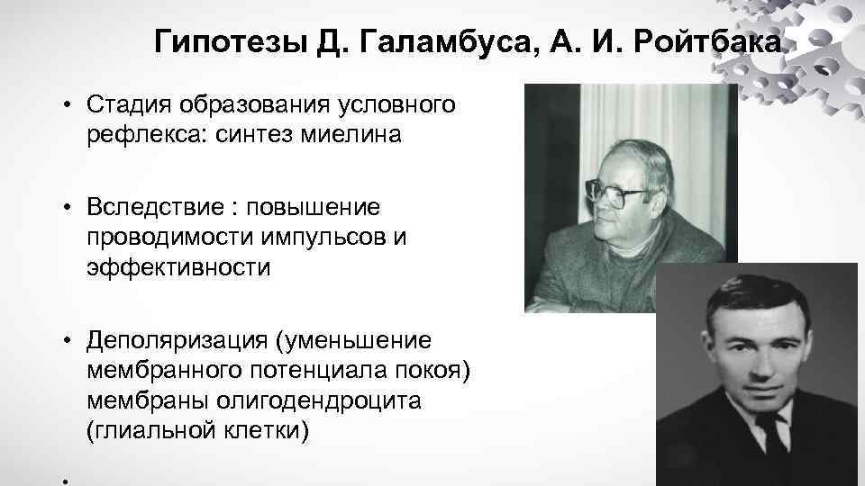 Гипотезы Д. Галамбуса, А. И. Ройтбака • Стадия образования условного рефлекса: синтез миелина •