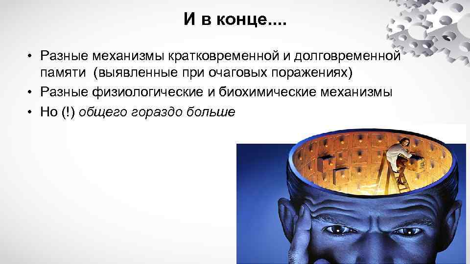 И в конце. . • Разные механизмы кратковременной и долговременной памяти (выявленные при очаговых