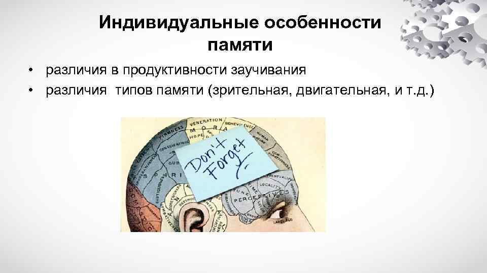 Индивидуальные особенности памяти • различия в продуктивности заучивания • различия типов памяти (зрительная, двигательная,