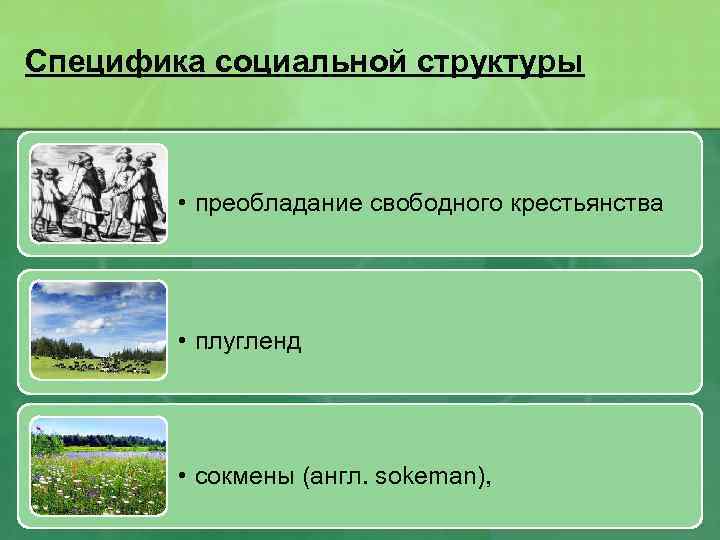 Специфика социальной структуры • преобладание свободного крестьянства • плугленд • сокмены (англ. sokeman), 