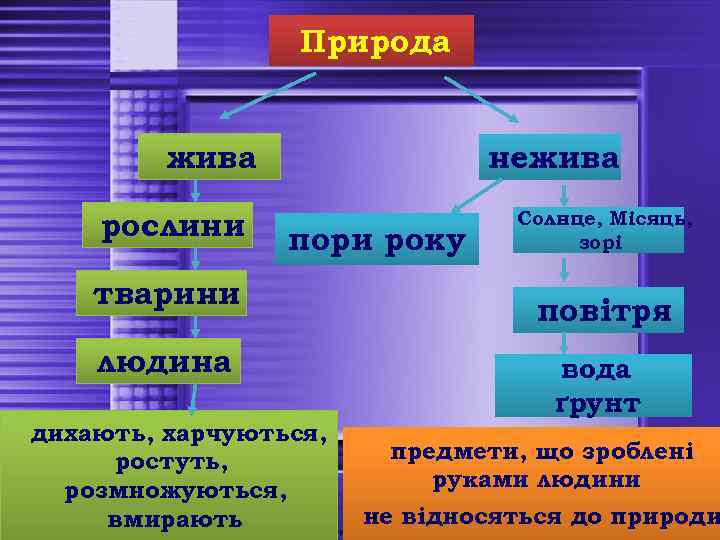 Природа жива рослини нежива пори року тварини людина дихають, харчуються, ростуть, розмножуються, вмирають Солнце,