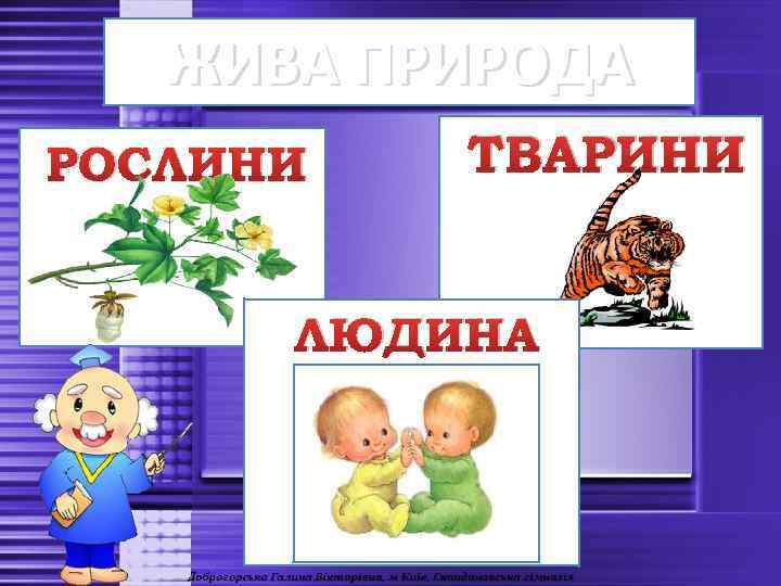 ЖИВА ПРИРОДА РОСЛИНИ ТВАРИНИ ЛЮДИНА 