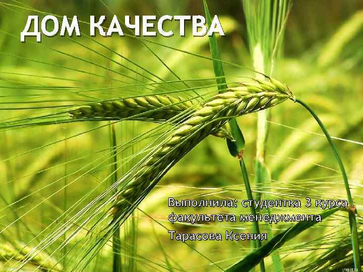 ДОМ КАЧЕСТВА Выполнила: студентка 3 курса факультета менеджмента Тарасова Ксения 