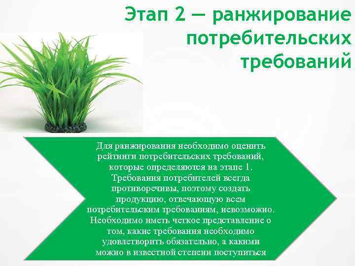 Этап 2 — ранжирование потребительских требований Для ранжирования необходимо оценить рейтинги потребительских требований, которые