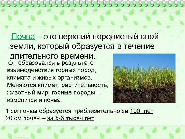 Как называется плодородный слой почвы содержащий. Почва это верхний. Почва верхний слой земли. Почва формируется в результате. Почва результат взаимодействия.