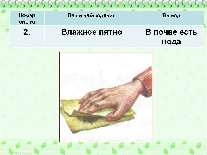 Номер опыта Ваши наблюдения Вывод 2. Влажное пятно В почве есть вода 