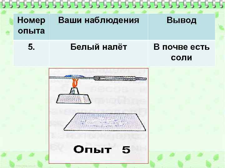 Номер опыта Ваши наблюдения Вывод 5. Белый налёт В почве есть соли 