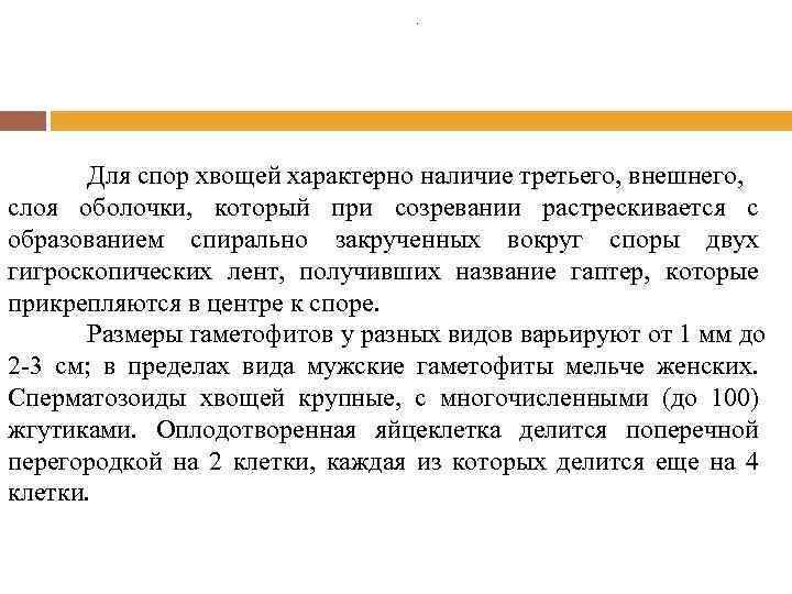 . Для спор хвощей характерно наличие третьего, внешнего, слоя оболочки, который при созревании растрескивается