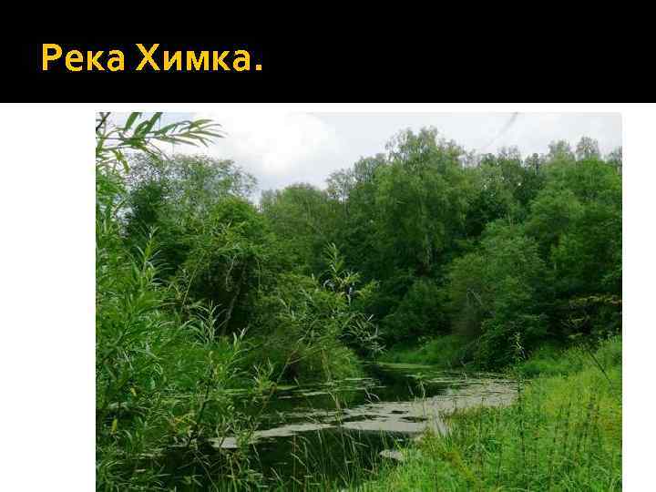 Река Химка. 