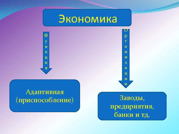Экономика Ф у н к ц и я Адаптивная (приспособление) О р г а