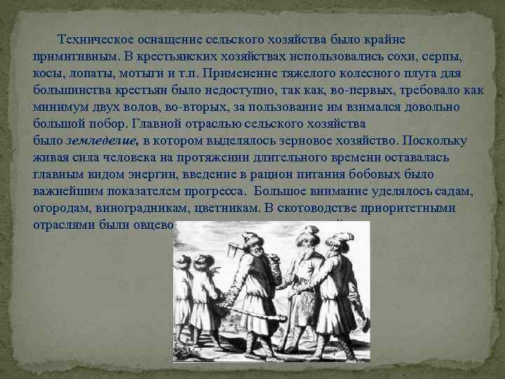 Техническое оснащение сельского хозяйства было крайне примитивным. В крестьянских хозяйствах использовались сохи, серпы, косы,