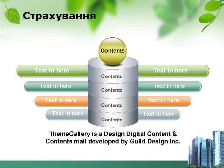 Страхування Contents Text in here Contents Text in here Text in here Theme. Gallery