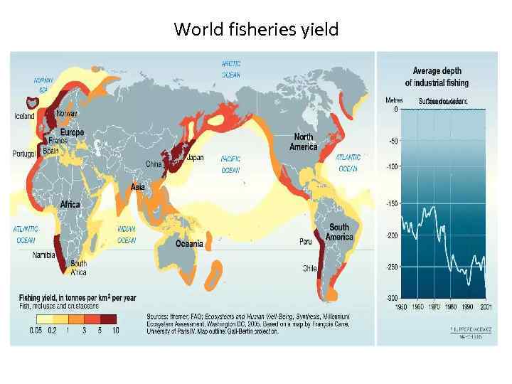 World fisheries yield 