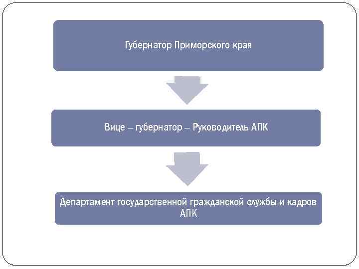 Губернатор Приморского края Вице – губернатор – Руководитель АПК Департамент государственной гражданской службы и