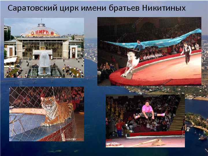 Саратовский цирк имени братьев Никитиных 