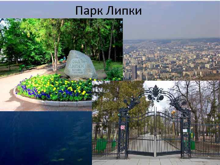 Парк Липки 