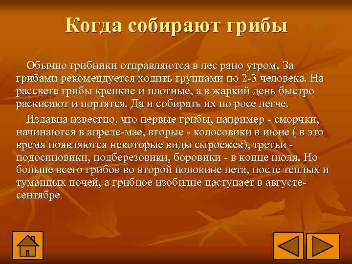 Когда собирают грибы Обычно грибники отправляются в лес рано утром. За грибами рекомендуется ходить