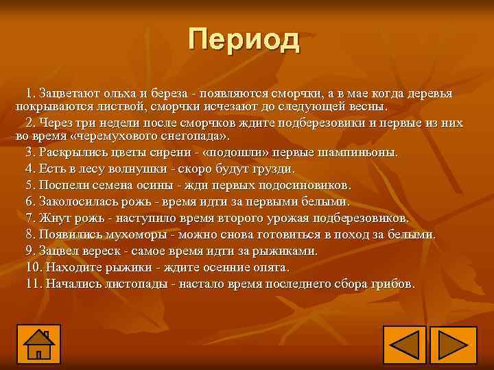 Период 1. Зацветают ольха и береза - появляются сморчки, а в мае когда деревья