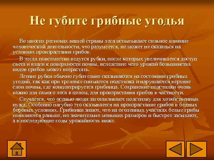 Не губите грибные угодья Во многих регионах нашей страны леса испытывают сильное влияние человеческой