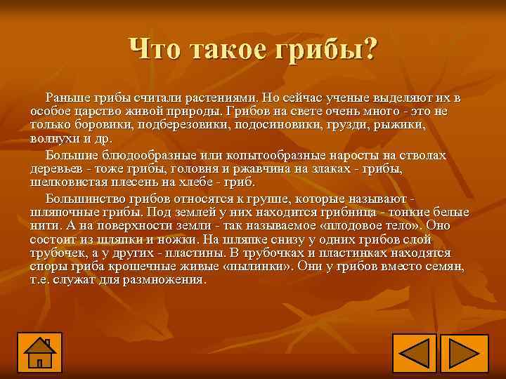 Что такое грибы? Раньше грибы считали растениями. Но сейчас ученые выделяют их в особое