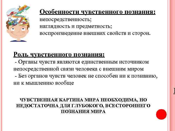 Особенности чувственного познания: непосредственность; наглядность и предметность; воспроизведение внешних свойств и сторон. Роль чувственного