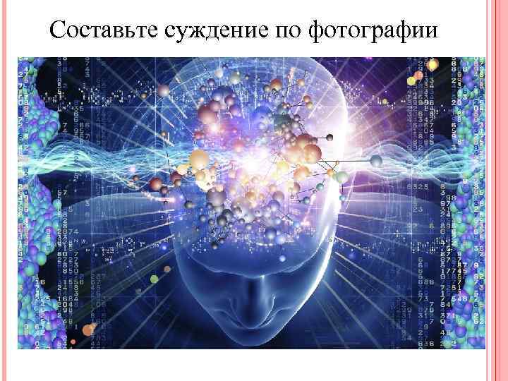 Составьте суждение по фотографии 