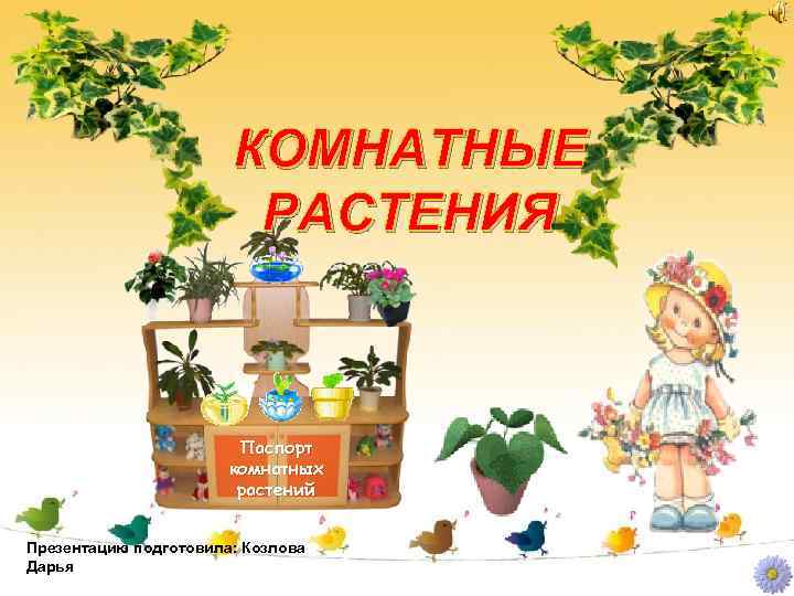 КОМНАТНЫЕ РАСТЕНИЯ Паспорт комнатных растений Презентацию подготовила: Козлова Дарья 