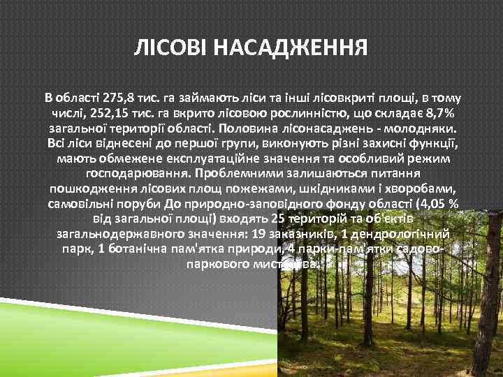 ЛІСОВІ НАСАДЖЕННЯ В області 275, 8 тис. га займають ліси та інші лісовкриті площі,