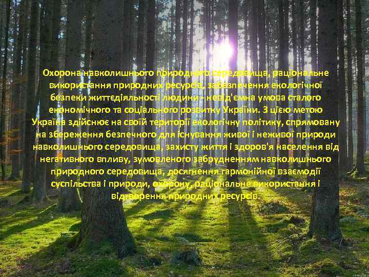 Охорона навколишнього природного середовища, раціональне використання природних ресурсів, забезпечення екологічної безпеки життєдіяльності людини -