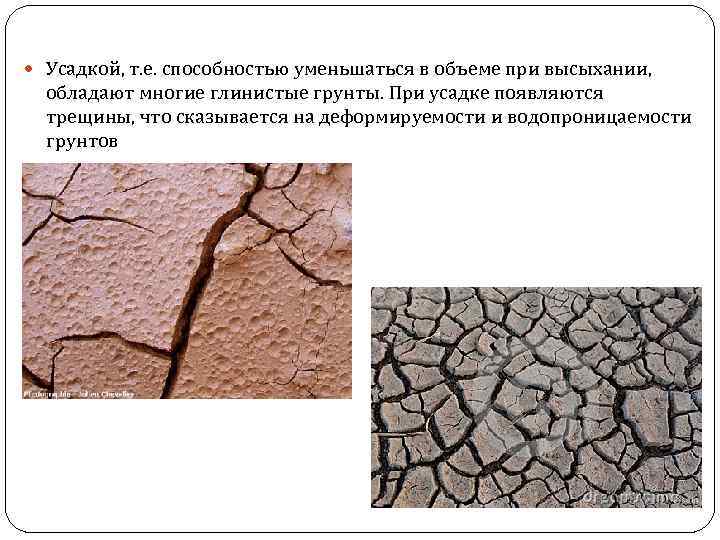  Усадкой, т. е. способностью уменьшаться в объеме при высыхании, обладают многие глинистые грунты.