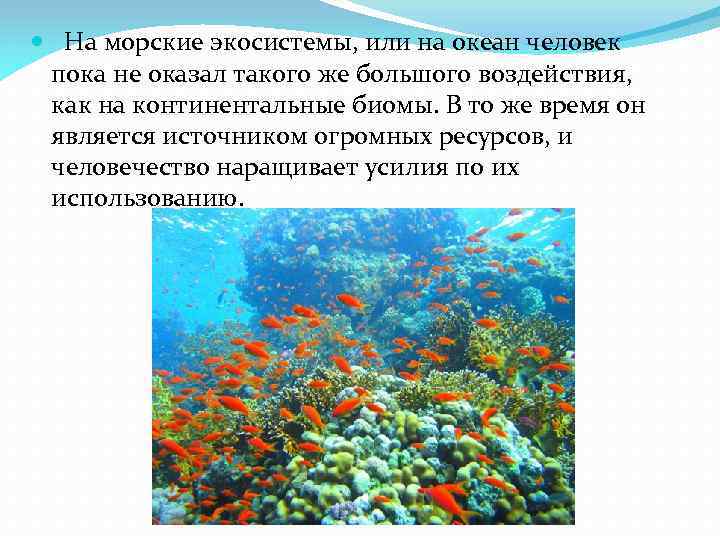  На морские экосистемы, или на океан человек пока не оказал такого же большого