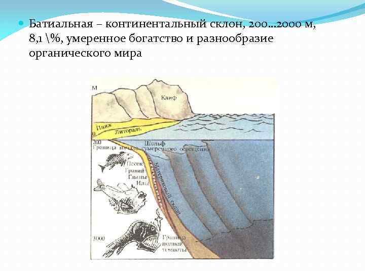 Какой цифрой на рисунке обозначен континентальный склон