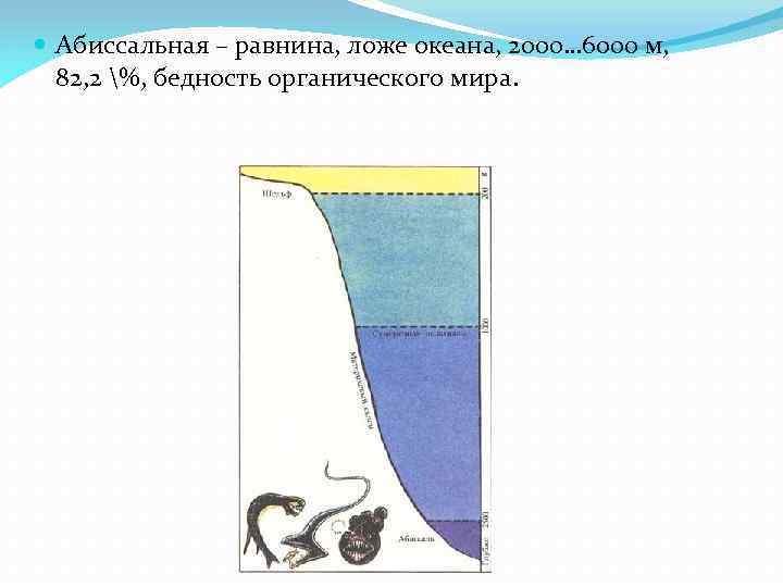 Какой цифрой на рисунке обозначено ложе океана