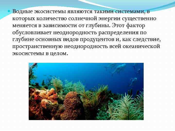 Описание водных. Разнообразие водных экосистем. Многообразие водных биогеоценозов. Водная экосистема характеристика. Особенности водных экосистем.