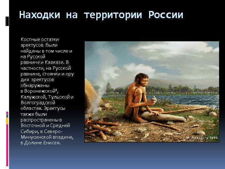 Находки на территории России Костные остатки эректусов были найдены в том числе и на